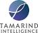 Tamarind Intelligence